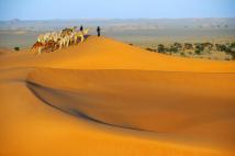 Самые большие и жаркие пустыни мира